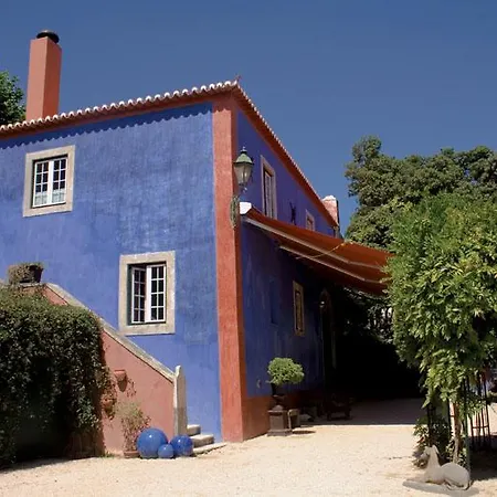 Гостевой дом The Old Cellar House Синтра