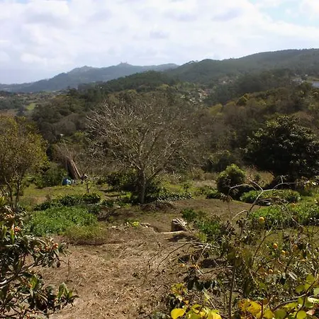 Гостевой дом The Old Cellar House