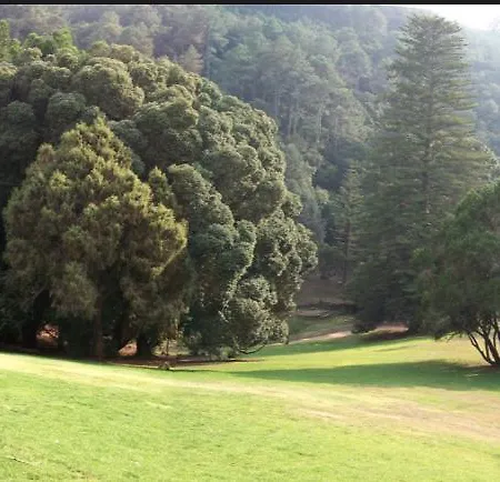 Гостевой дом The Old Cellar House *