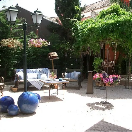 The Old Cellar House